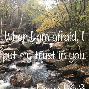 Meet your Posher, Shelia